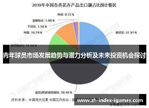 青年球员市场发展趋势与潜力分析及未来投资机会探讨