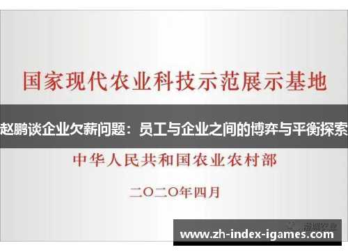 赵鹏谈企业欠薪问题：员工与企业之间的博弈与平衡探索
