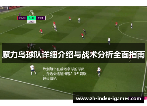 魔力鸟球队详细介绍与战术分析全面指南